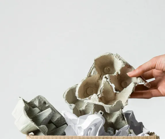 Our Sustainability Approach