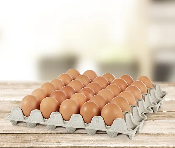 Protect what matters with practical, proven tray solutions